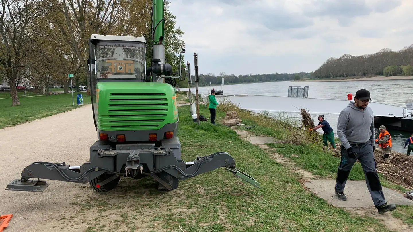 FÖH Baumgala Bagger und Team beim Rückschnitt am Rheinufer