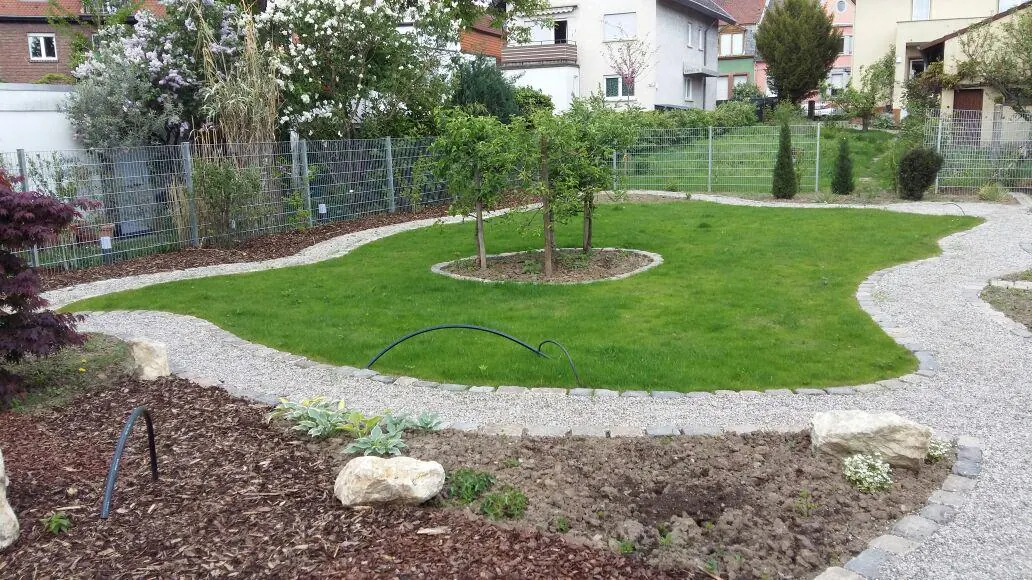 Fertige Rasenanlage mit Baumrondell und Kiesweg